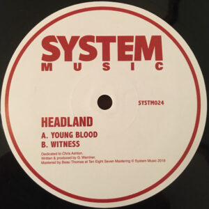 Headland ‎– Young Blood / Witness (S. HAND VG+)