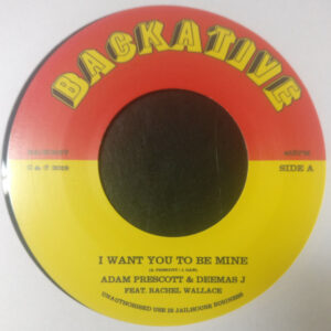 CWallace / Adam Prescott & Deemas J ‎– I Want You To Be Mine / Questions