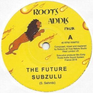 Subzulu ‎– The Future