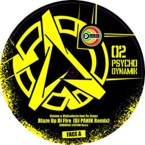 Various ‎– PSychoDynamiK 02