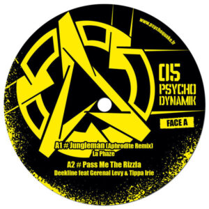 Various ‎– Psychodynamik 05