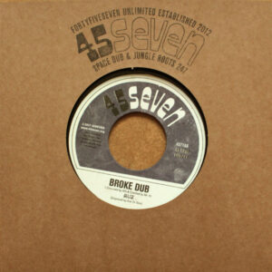 RUZ ‎– Broke Dub / Love Beyond Price