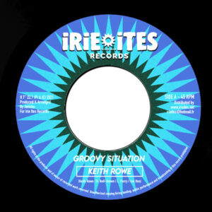 Keith Rowe  ‎– Groovy Situation