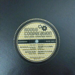 Anthony Johnson, U Brown, Paco Ten, Billyman ‎– Behold / Work Fi U Know