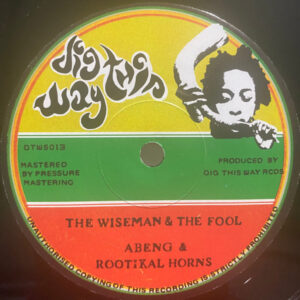 Abeng  & Rootikal Horns ‎– The Wiseman & The Fool
