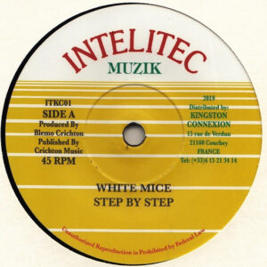 White Mice  – Step By Step