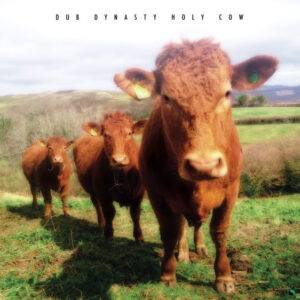 Dub Dynasty ‎– Holy Cow