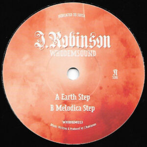 J. Robinson  ‎– Earth Step (SECOND HAND VG+)