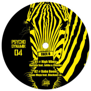 Various – PsychoDynamik 04