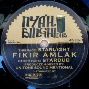 Fikir Amlak ‎– Starlight
