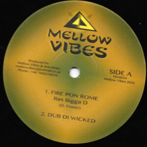 Ras Bigga D/ Sista Mary ‎– Fire Pon Rome/ New Dawn