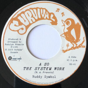 Ruddy Symbol* – A So The System Work