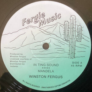 Winston Fergus ‎– In Ting Sound
