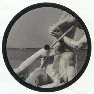 Al Wootton* ‎– Calvinist Hospitality