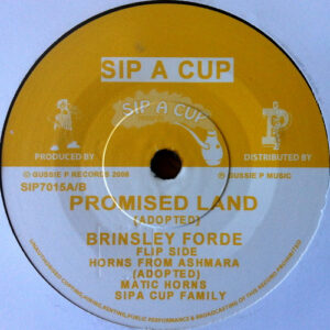 Brinsley Forde / Matic Horns, Sipa Cup Family* – Promised Land / Horns From Ashmara (SECOND HAND GOOD+)