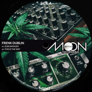 Frenk Dublin ‎– Dub Swinger (SECOND HAND NM)