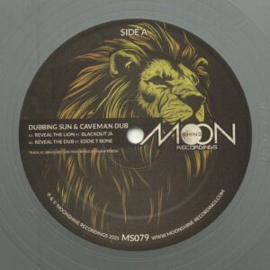 Dubbing Sun, Caveman Dub, Small Town Dubz ‎– Reveal The Lion / Babylon A Fall